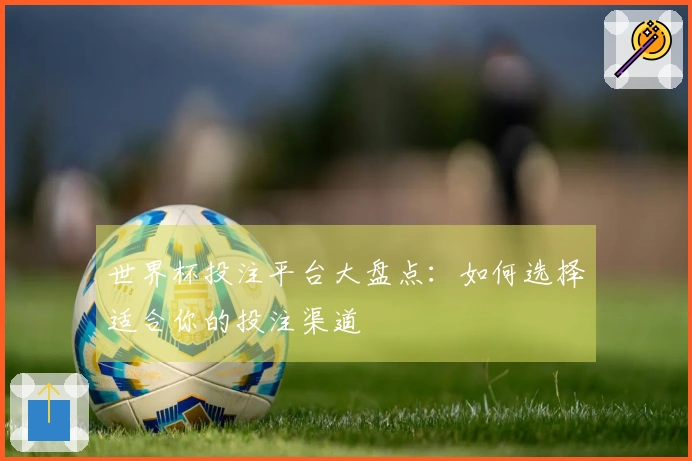 世界杯投注平台大盘点：如何选择适合你的投注渠道