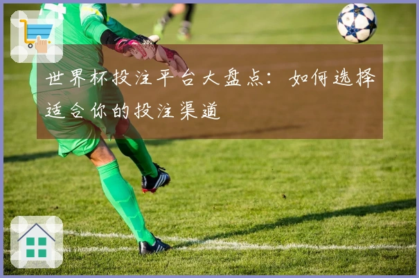 世界杯投注平台大盘点：如何选择适合你的投注渠道