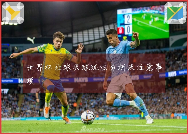 世界杯让球买球玩法分析及注意事项