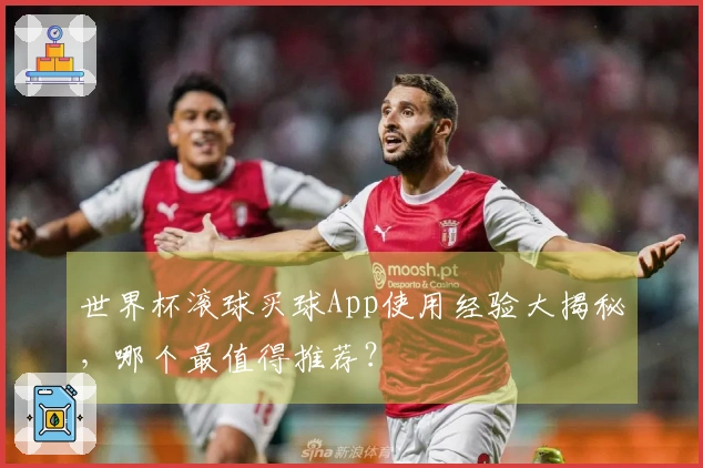 世界杯滚球买球App使用经验大揭秘，哪个最值得推荐？