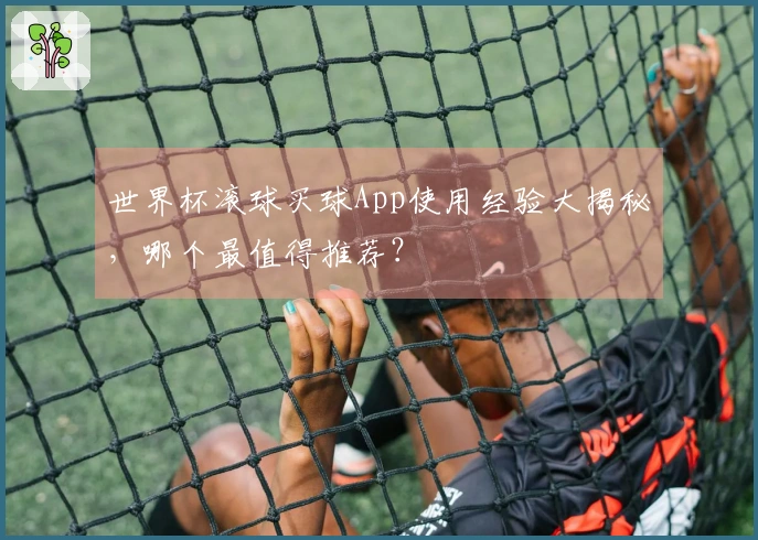 世界杯滚球买球App使用经验大揭秘，哪个最值得推荐？